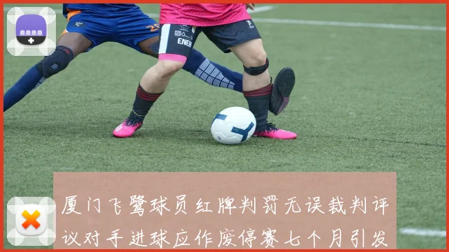 厦门飞鹭球员红牌判罚无误裁判评议对手进球应作废停赛七个月引发热议